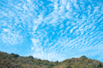 Clouds and sky and trees
