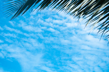 Clouds and sky and trees