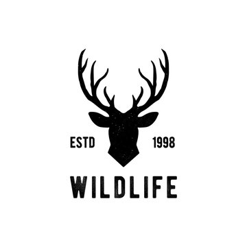 Deer head Design Element in Vintage Style for Logotype, Label, Badge, T-shirts and other design. Hunting club Retro vector illustration. - Vector