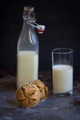 Homemade rye bread and fresh milk, low key, selective focus and toned image