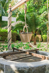 Pond and flower garden arrangement