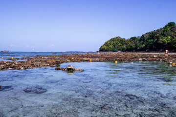 Sea and coral at the beach