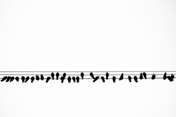 silhouette of a flock of birds sitting on the wires on a white background. birds are like notes. birds in the city.
