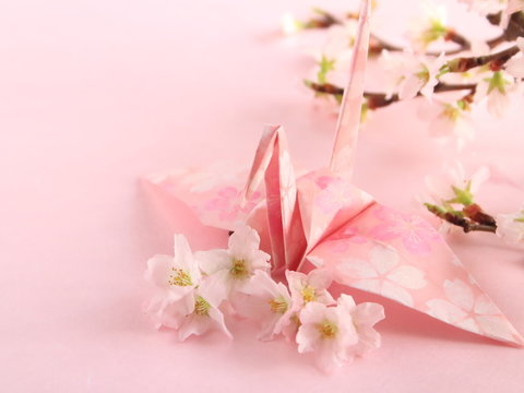 折り紙で作った鶴とサクラの花（日本の春のイメージ）