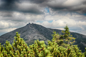 Fototapeta premium The highest mountain Snezka in national park Krkonose in Czech republic.