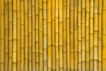 Yellow bamboo wall for background