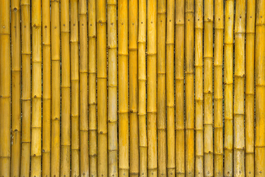 Yellow bamboo wall for background