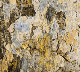 Grunge wall close up details