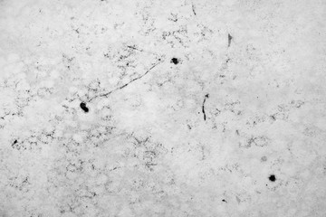 Gypsum dirty old with mold