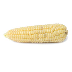 Boiled waxy corn isolated on a white background.