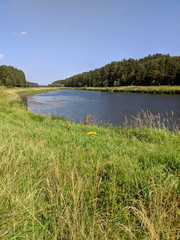 summer landscape with a river and forrest