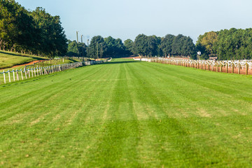 Fototapeta premium Horse Race Grass Training Track Landscape