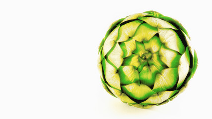 Fototapeta premium Artichoke