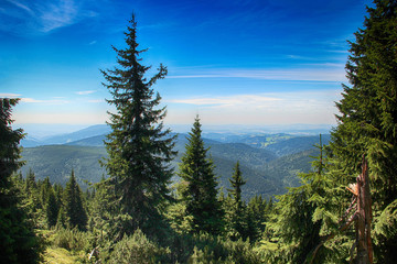 Amazing view of czech nature in Medvedin in Giant Mountains in Czech republic.