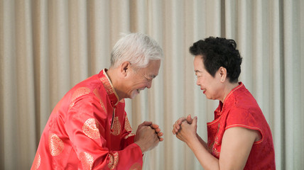 Asian senior Chinese new year gesture celebration happy