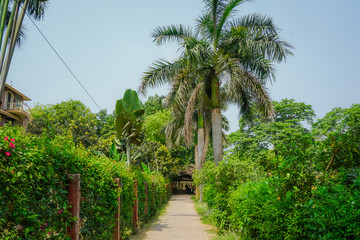 Fototapeta na wymiar Footpath in a beautiful garden in Mayapur, India