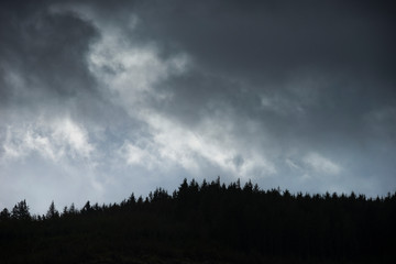 Pine tree ridge landscape image against dramatic stormy Winter sky in Snowdonia