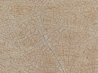 brown crack texture