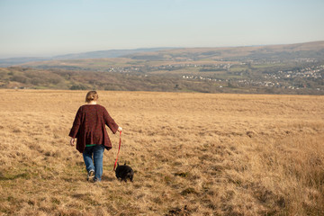 Fototapeta na wymiar Mature woman and terrier dog walking through a meadow