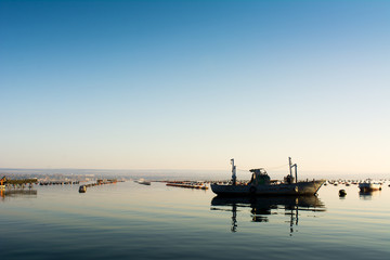 Wooden Boat Moored Among Mussel Plantation in the Mar Piccolo in Taranto in the South of Italy at Sunrise