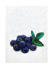 Blueberries bunch of berries. Color pencil drawing