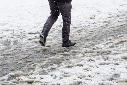 Feeds In Wet Snow On The Street, Dirty Snow, Walking Through Slush