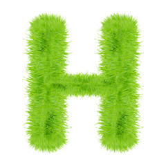 Grass letter on white background