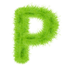 Grass letter on white background