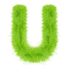 Grass letter on white background