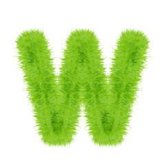 Grass letter on white background
