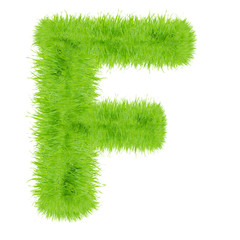 Grass letter on white background