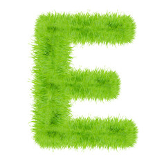 Grass letter on white background