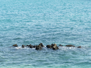 Fototapeta premium sea water with stone outdoor