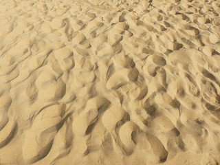 sand beach texture