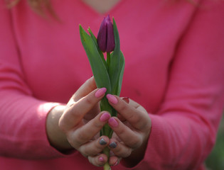 A girl holds a tulip in the greenhouse hothouse of a public utility company for the maintenance of...