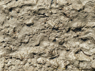 mud texture