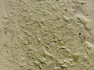 mud texture