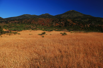 Obraz premium 日本百名山 八甲田山 秋の高田大岳