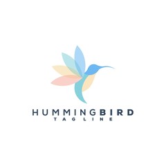 humming bird logo vector