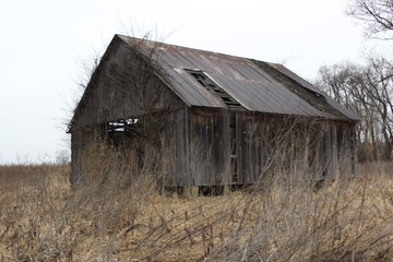 Obraz premium Fading Life 2019