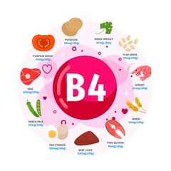 Vector poster products with vitamin B4. Cartoon illustrations of products. 