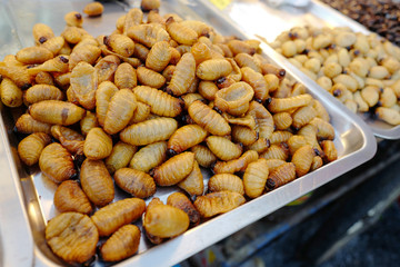 Fried larva on street market