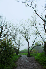 Walking track seen from Sinhagad fort, Maharashtra, Pune.