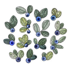 Watercolor hand drawn blueberry set isolated on the white background. Clip art illustration for design.