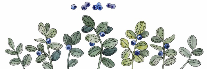 Watercolor hand drawn blueberry branches set isolated on the white background. Clip art illustration for design.