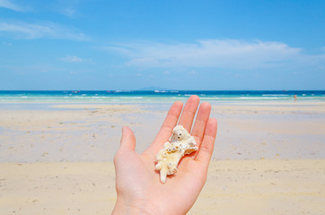 mano con un corallo bianco tailandia