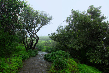 Walking track seen from Sinhagad fort, Maharashtra, Pune.
