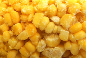 Frozen corn with ice crystals