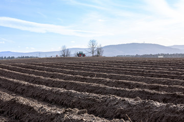 Obraz premium Spargelfeld mit Traktor im Hintergrund