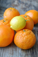 Set of citrus fruits from tangerines, kumquats, oranges and lemons